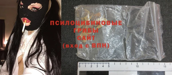 прущие грибы Нея