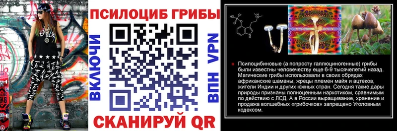 kraken вход  Фёдоровский  Галлюциногенные грибы Psilocybine cubensis 